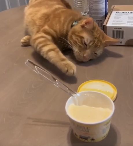 Актерская игра 10 из 10