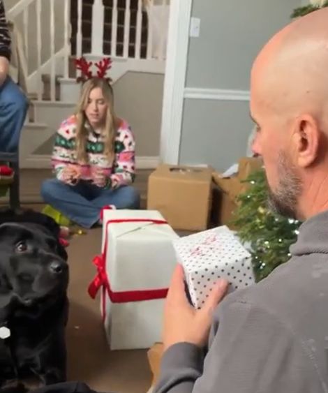 И собаке тоже новогодний подарок