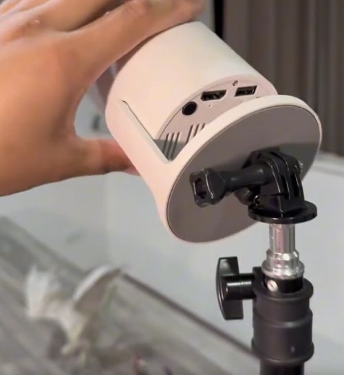 В соцсетях нашли ещё один аргумент в пользу проектора — настолки