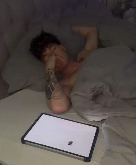 Розыгрыш с насекомыми