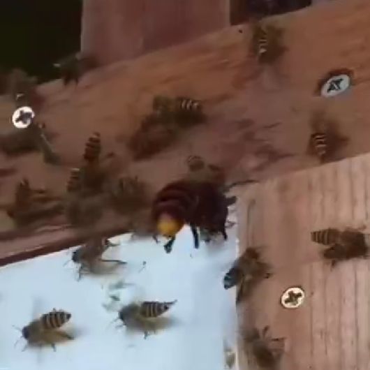 Довы@бывался