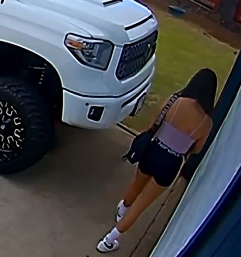 Не лает не кусает, а в дом не пускает!