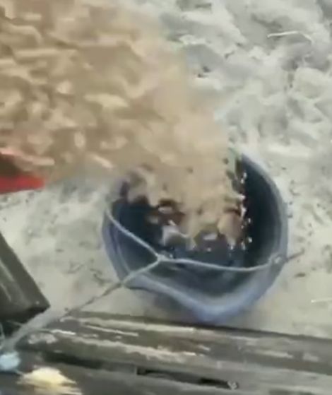 На уровне инстинктов