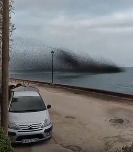 Вблизи это даже страшно⁠⁠