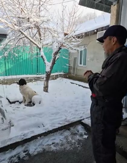 Я не толстый