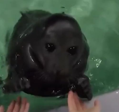 Такие потребности не только у трехлеток, но и намного постарше...⁠⁠