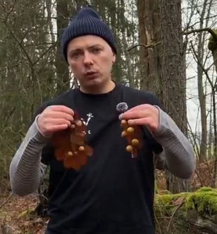 Железо-галловые чернила