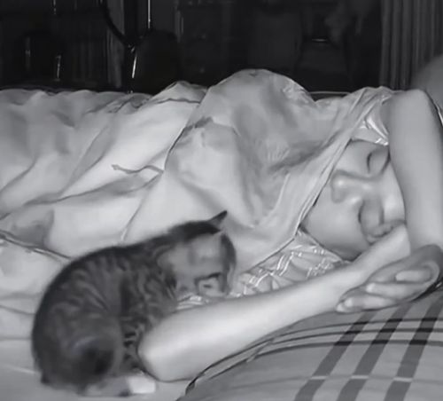 Спокойной ночи...