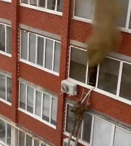 Случай на работе с полными штанами кирпичей