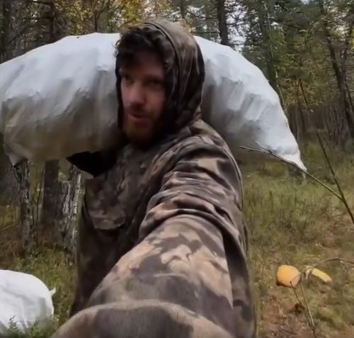 Процесс добычи кедровых орехов