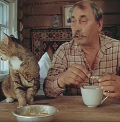 Кот офигенно сыграл