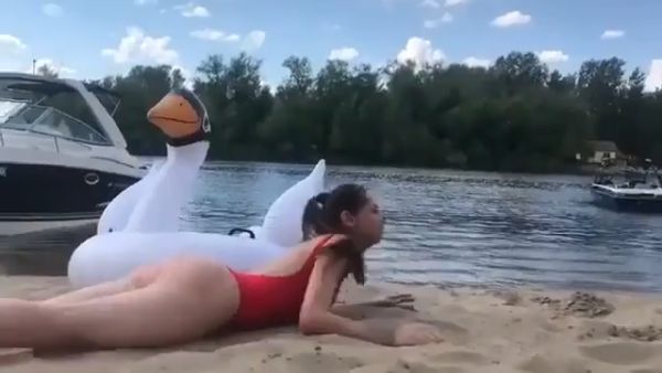 Пляжный скорпион задушил гуся