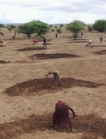 В засушливых районах Танзании происходит тихая, но по-настоящему впечатляющая трансформация