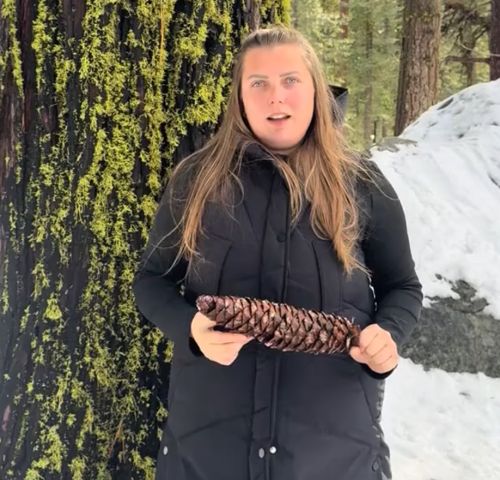 На полшишечки⁠⁠