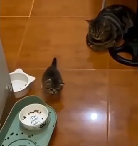 Мамина радость...