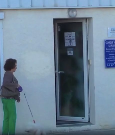 Розыгрыш в ветеринарной клинике