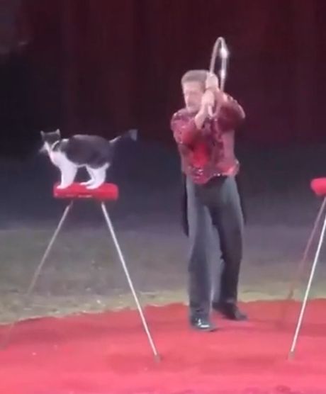 Сам прыгай⁠⁠