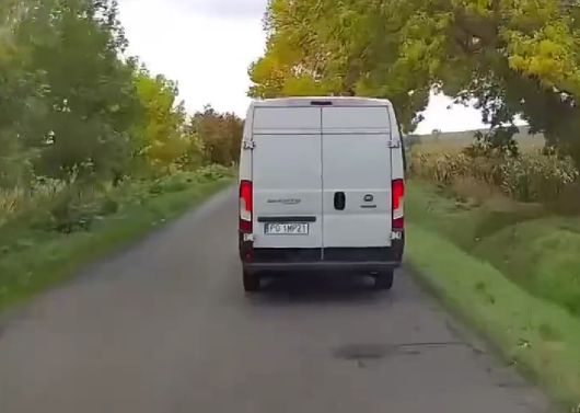 Эффект газелиста