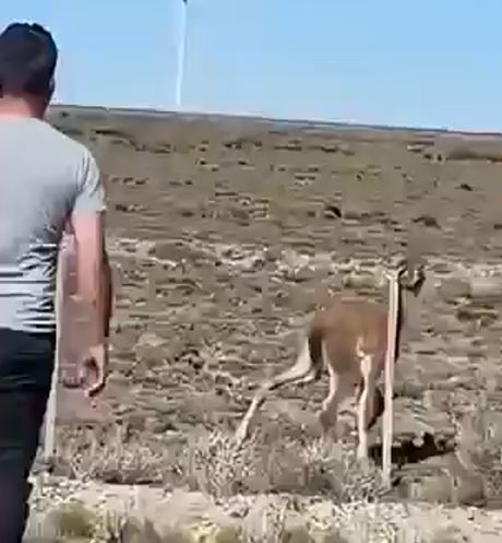 Теперь ты мой папа!