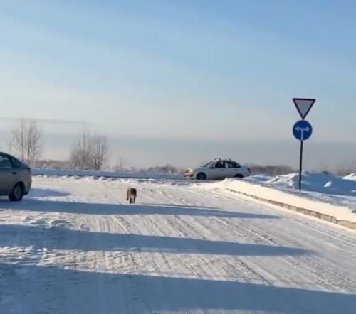 "А он нам п***ы не даст?"