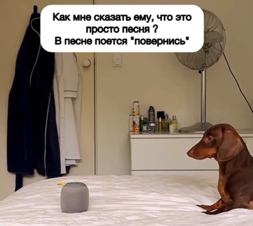 Когда ты послушный мальчик