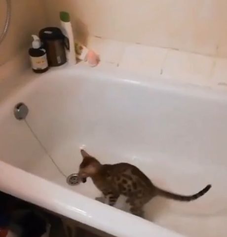 Нашёл такую нужную вещь, а забрать не получается