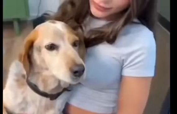 Милый пёсик⁠⁠