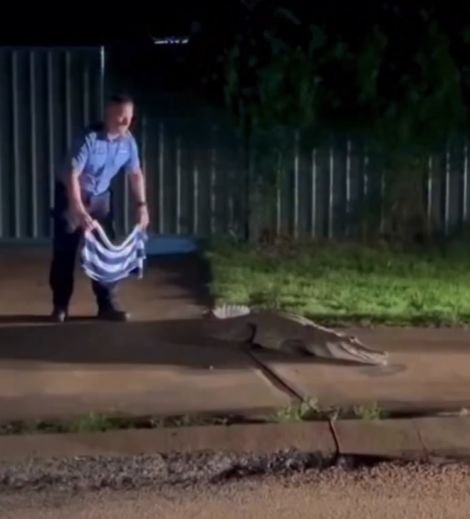 Совпадение? Не думаю