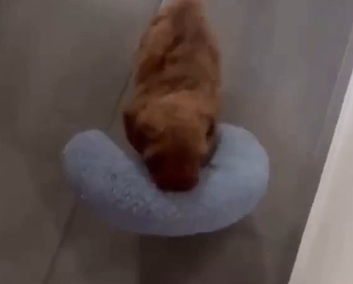 Вы как хотите, а я спать⁠⁠