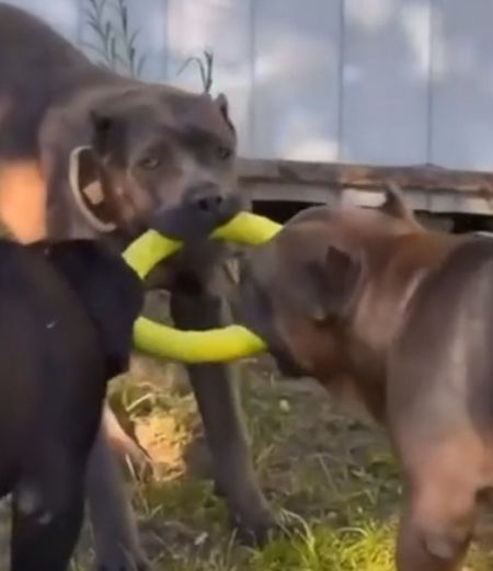 Взял хитростью