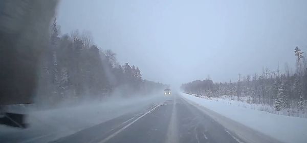 Как с ними бороться?