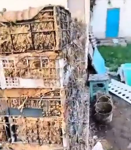 Дом из глины