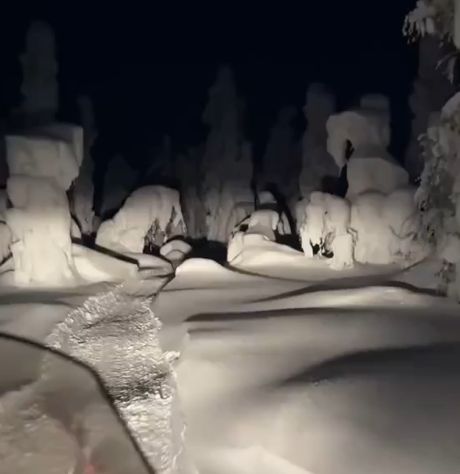 За следующим поворотом поляна, костёр и 12 месяцев сидят...⁠⁠