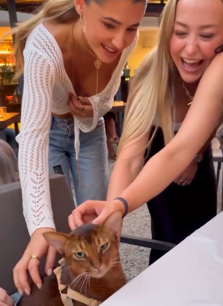 Коварный план!⁠⁠