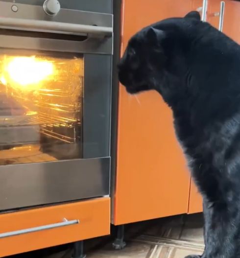 Держаться больше нету сил⁠⁠