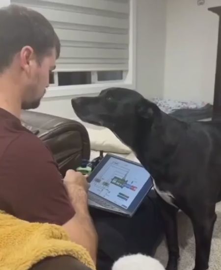 Опаздываем!⁠⁠