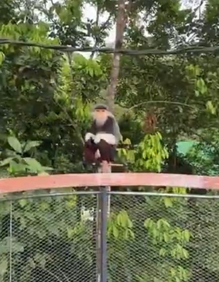 Повезло девчонке что увидела