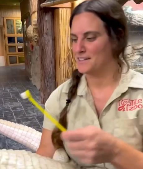 Немного любви⁠⁠