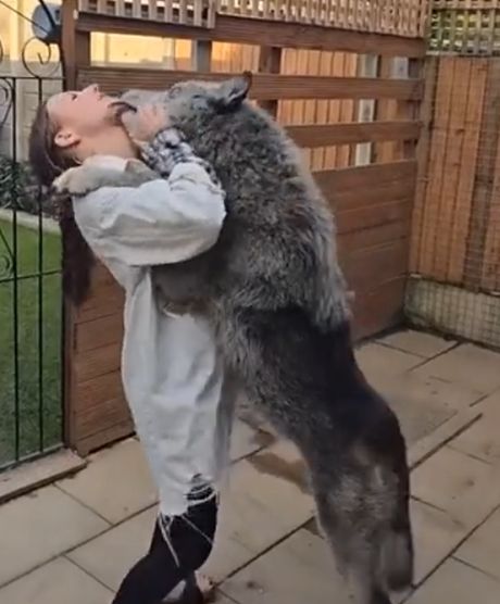 Теперь эту девушку будут обходить километрами животные