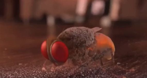 Пожалуй, лучшая сцена из индийского фильма⁠⁠