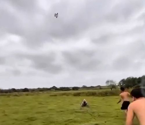 Пацаны просто тащатся с этого змея⁠⁠