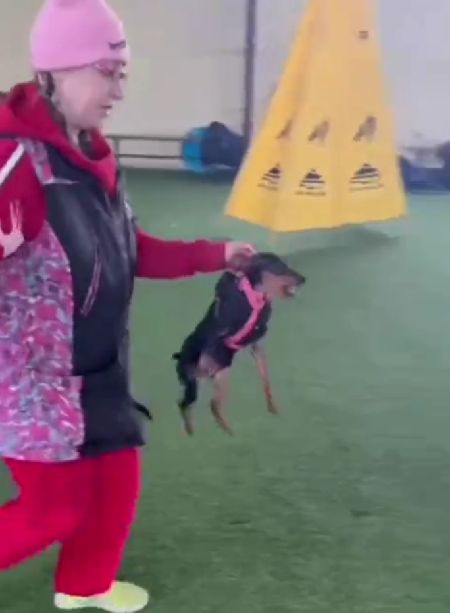 Опасный тип