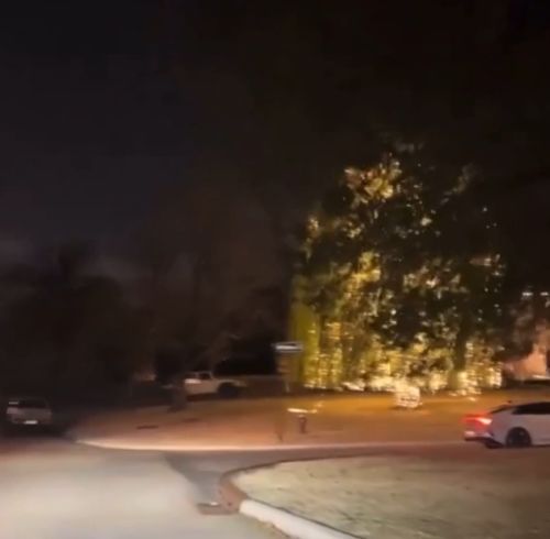 Новогодняя ива⁠⁠