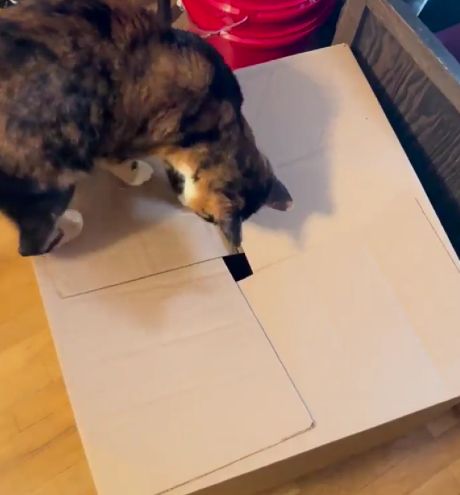 Исчезновение