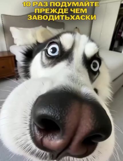 Монолог эксперта