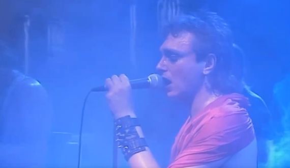 Алиса - Стерх