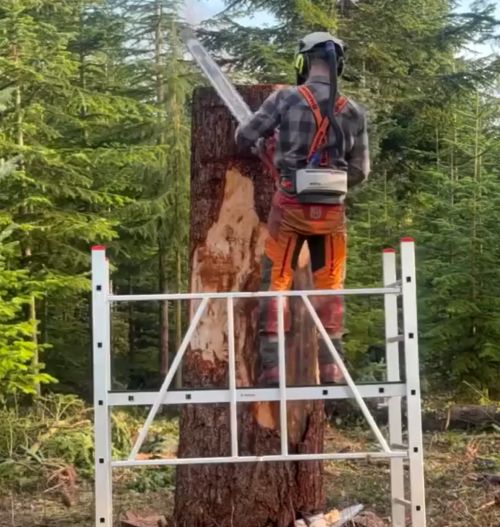 Фантастическая работа⁠⁠