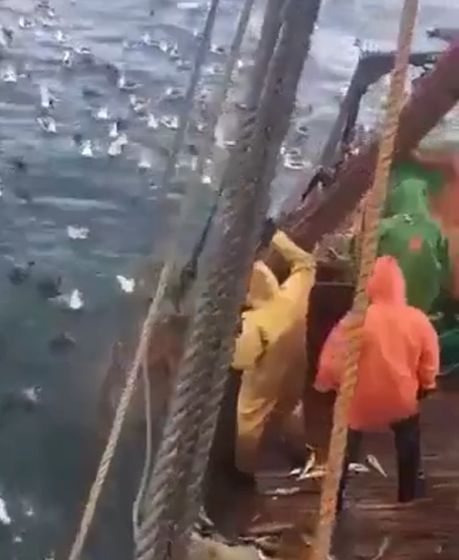 Привет, спишь?⁠⁠