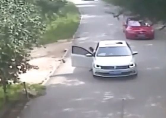 Выходить из машины во время сафари - не лучшая идея