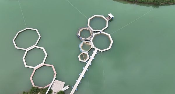 Онлайн-рыбалка в Казахстане